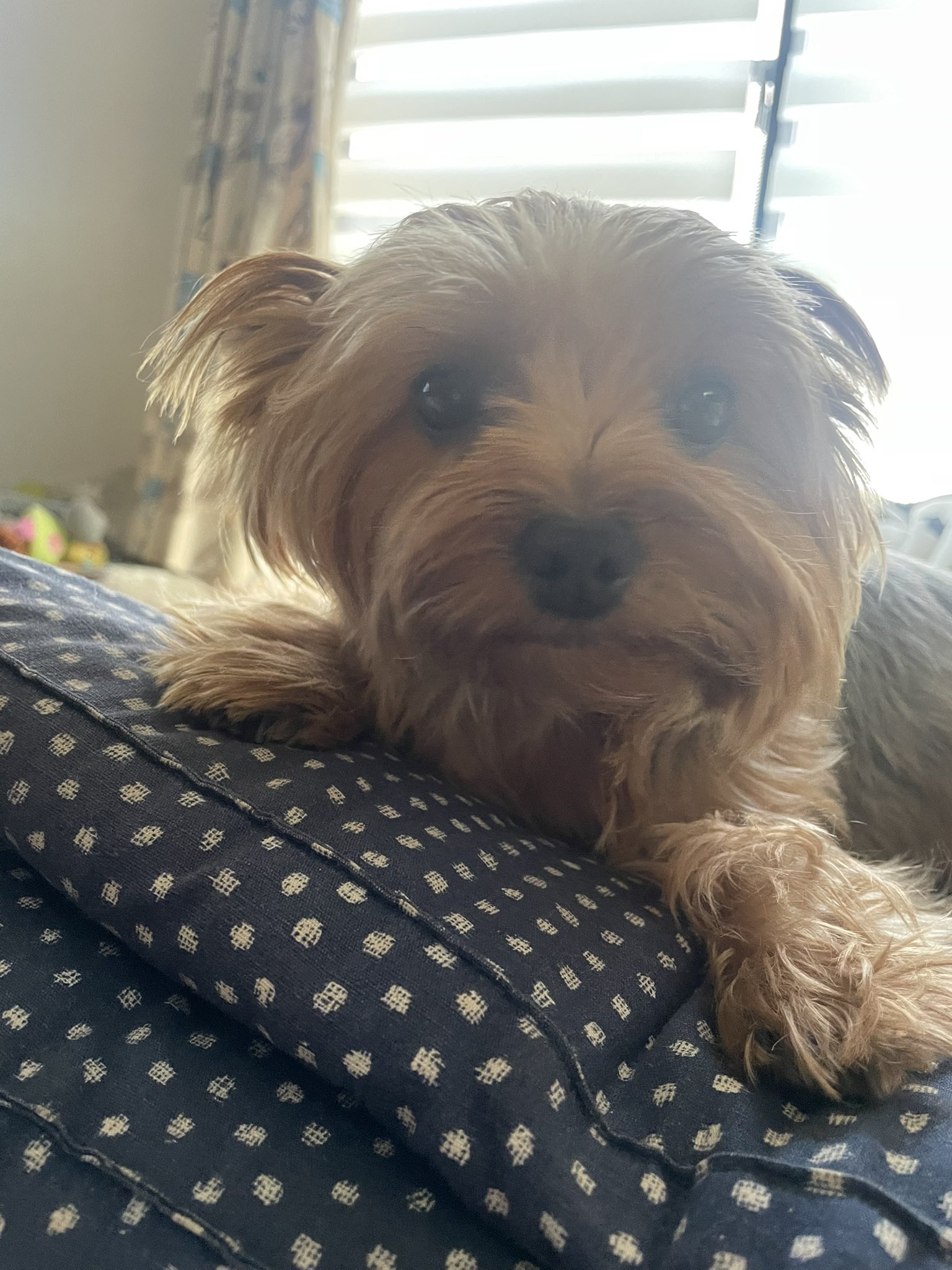 kikiページ キキ♡❪commission❫ (@_431642) / X