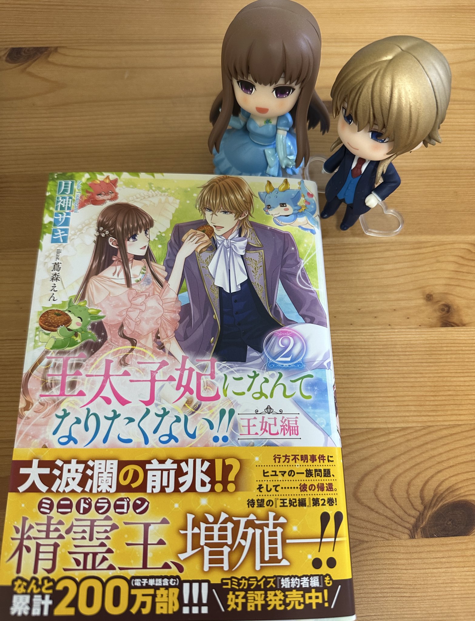 王太子妃になんてなりなくない‼王太子妃編　全１０巻★月神サキ★一迅社メリッサ文庫 Amazon.co.jp: 王太子妃になんてなりたくない!! 王太子妃編10