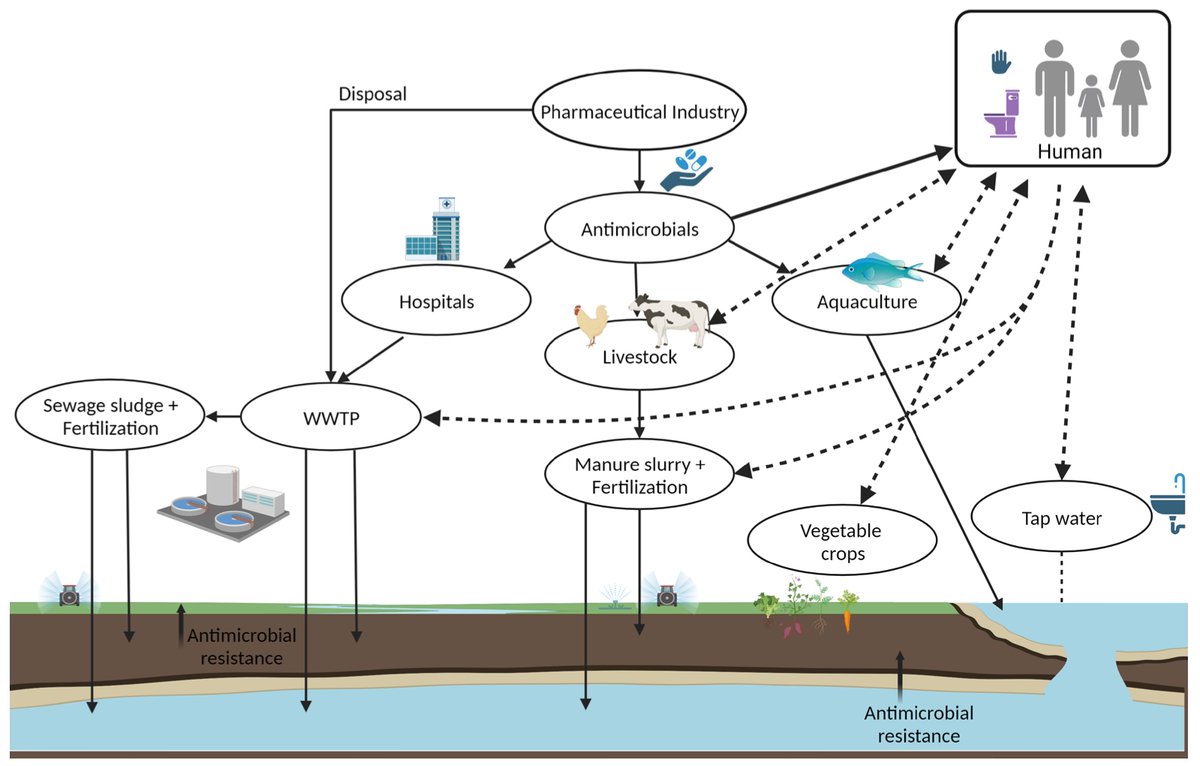 Micro_MDPI's tweet image. 🦠This review addresses the urgent global concern of carbapenem-resistant Enterobacterales (CRE) and the factors contributing to antimicrobial resistance (AMR), particularly the role of gene dissemination through horizontal gene transfer. 

🔎Read more: mdpi.com/2326922