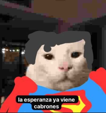 Neo_3827's tweet image. Llegue a los 10k de intentos en Acu, creen que si me lo paso?
