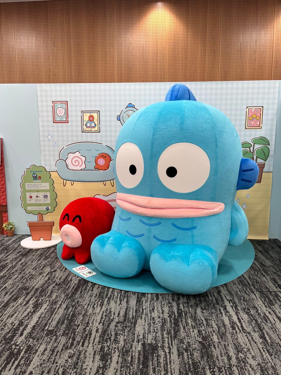 ハンギョドン💙グッズ情報 (@HNGDN_goods) / X