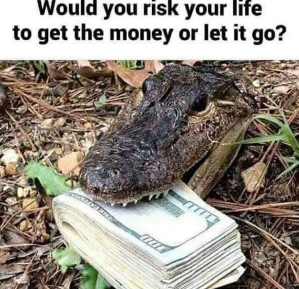Would you?