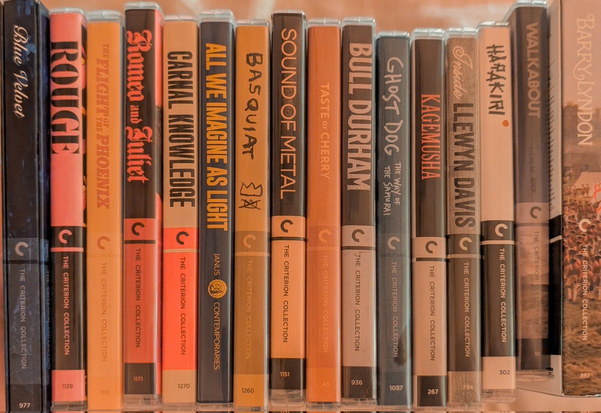 DocHikes's tweet photo. Final #CriterionSale haul.

What should I watch first? https://t.co/4L0P8Zwz2h