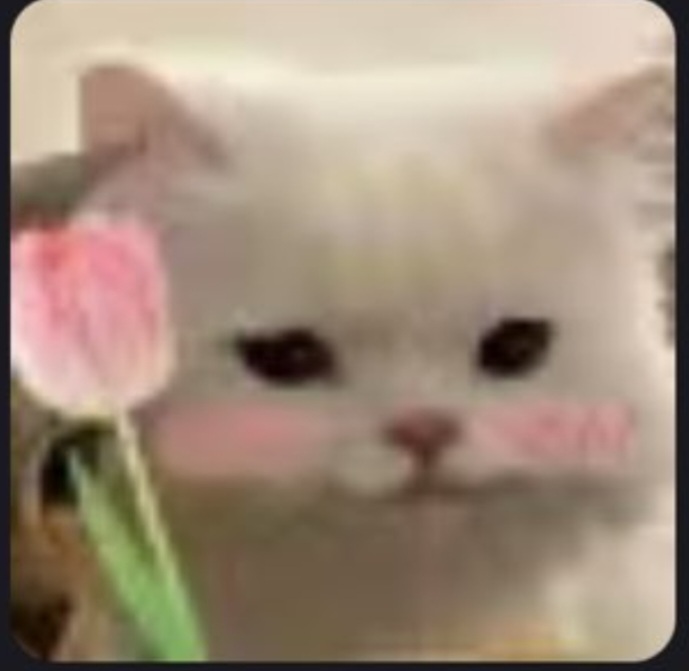 yellow_birb's tweet image. Yolopark can you please make an Earthspark Breakdown......Yolopark if you can hear me...... I'll buy TWO 😊