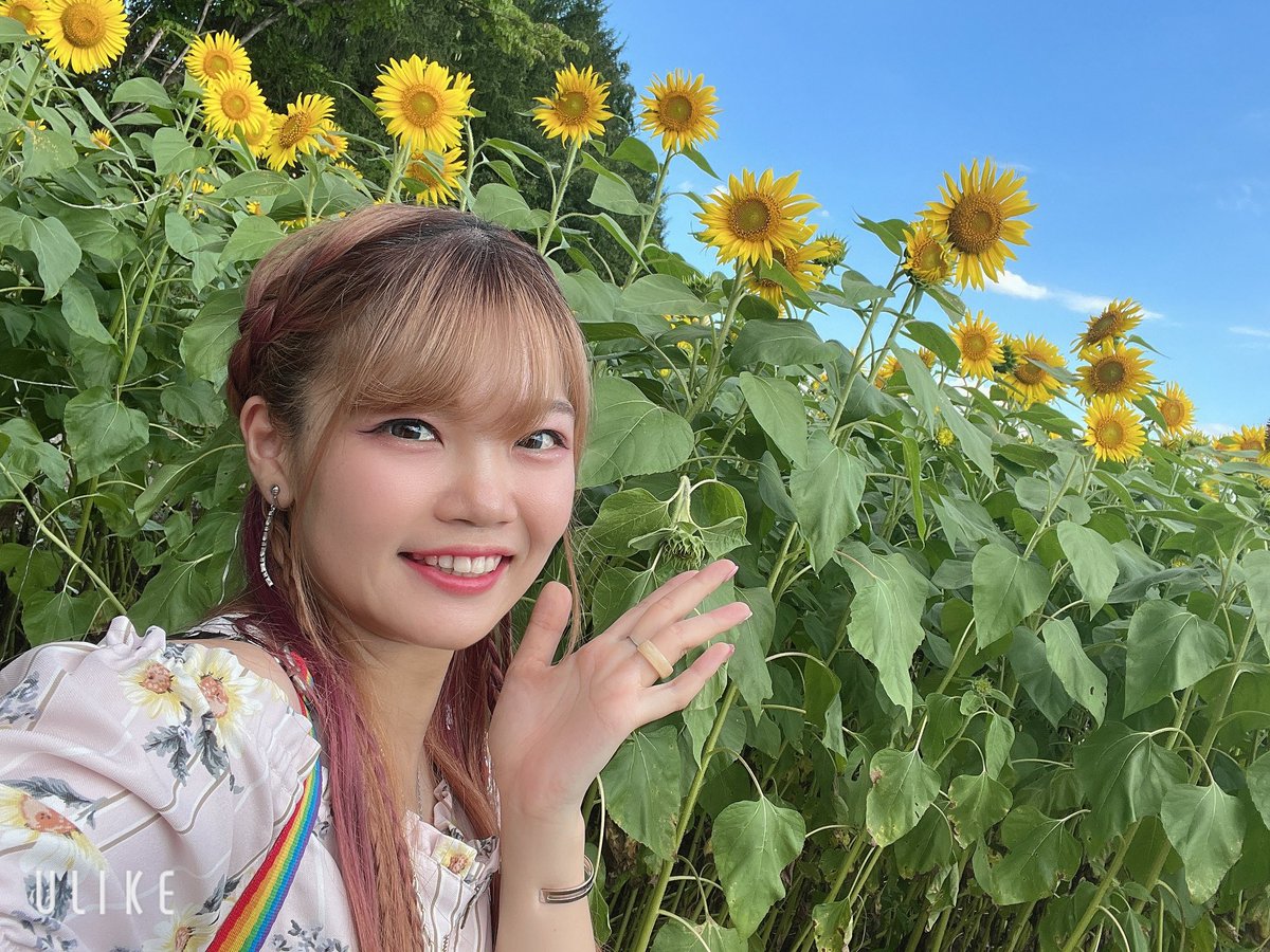 おはわこ☀️
去年地元のひまわり畑で撮った写真で
夏を感じる💭

出産報告、そわそわ待ってくれてる方もいるかと思いますが、残念ながらもう少しお待ちくださいw
さてポストするよ🙌