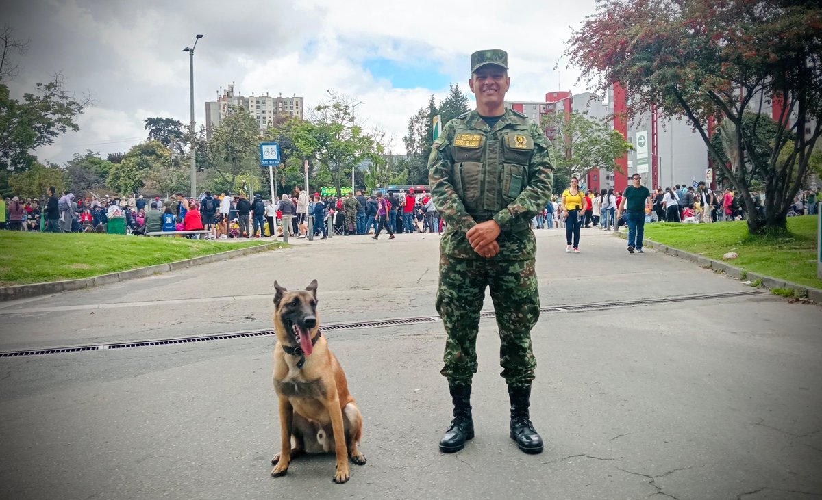 Ingenieros_EJC's tweet image. El Batallón de Ingenieros de Combate N.º 13 “General Antonio Baraya” cuenta con binomios caninos certificados por la @OEA_Oficial y alineados a los estándares de la @NATO.
Hoy conforman el equipo de Eliminación de Artefactos Explosivos (EOD) del cuerpo de #IngenierosMilitares y…
