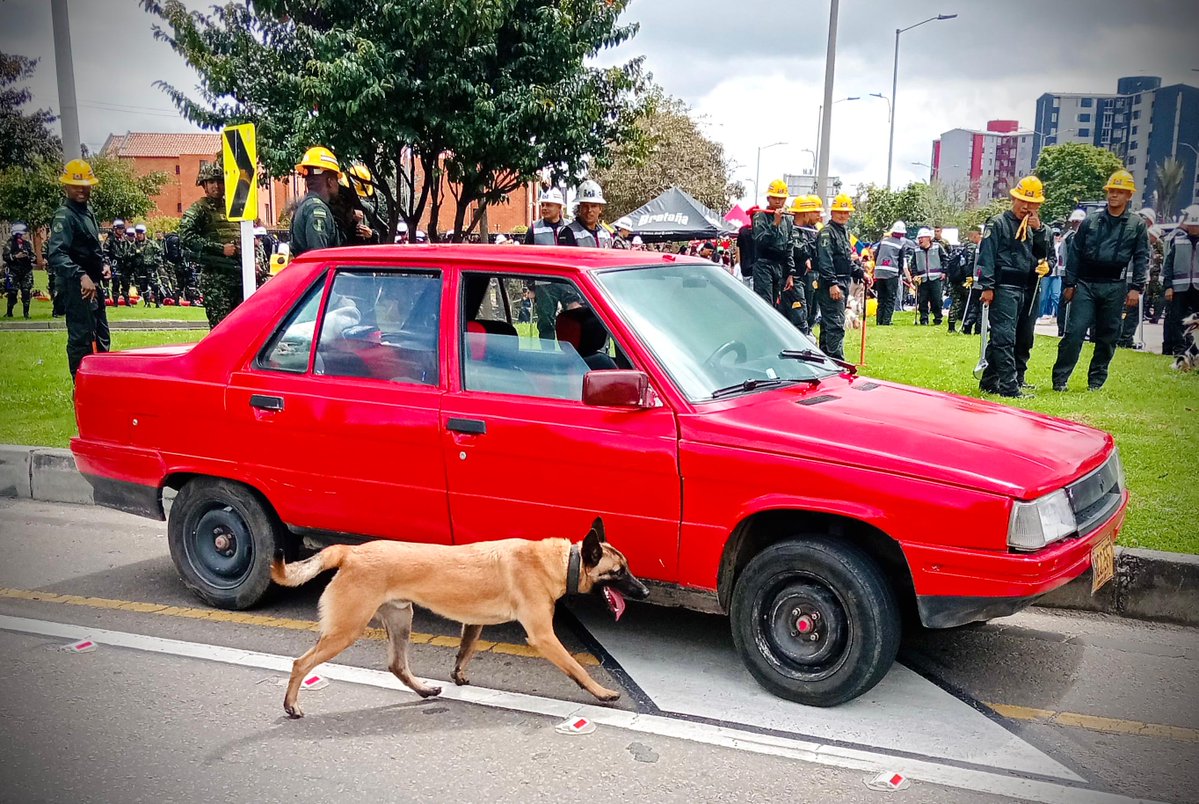 Ingenieros_EJC's tweet image. El Batallón de Ingenieros de Combate N.º 13 “General Antonio Baraya” cuenta con binomios caninos certificados por la @OEA_Oficial y alineados a los estándares de la @NATO.
Hoy conforman el equipo de Eliminación de Artefactos Explosivos (EOD) del cuerpo de #IngenierosMilitares y…