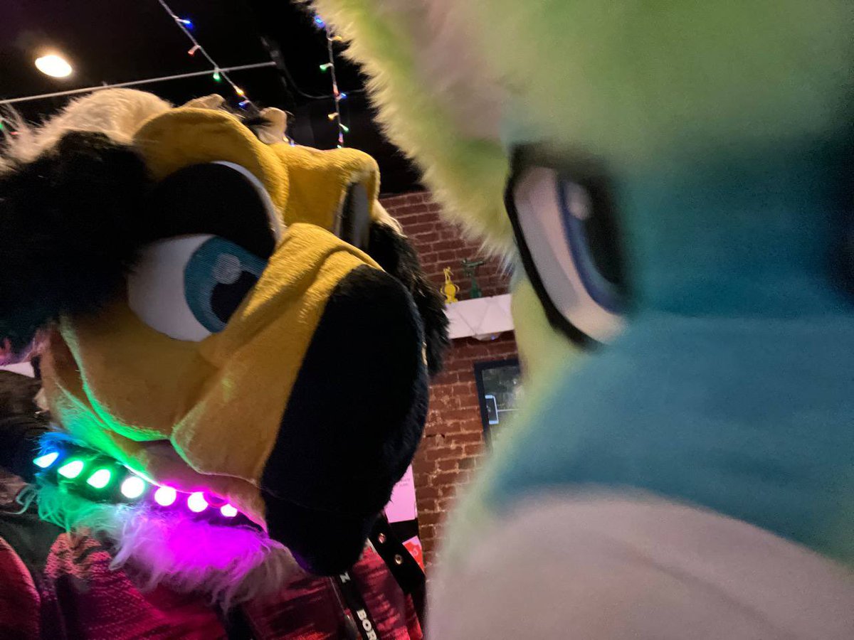 defend_dingo's tweet image. ok im normal again