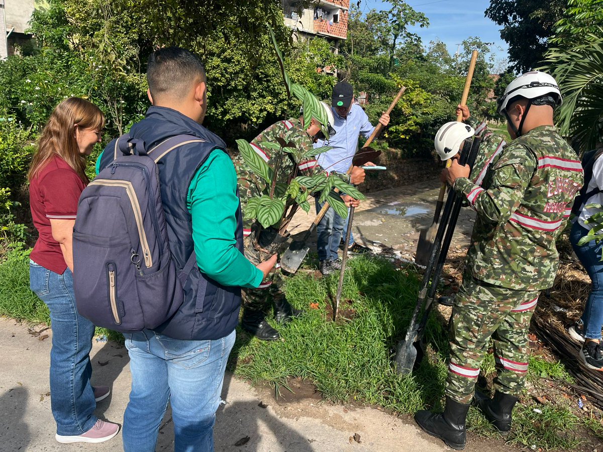 Ingenieros_EJC's tweet image. Soldados de la Brigada de Ingenieros de Atención y Prevención de Desastres se unen a la comunidad de Lebrija, #Santander, para sembrar 300 plantas ornamentales en el parque principal y el barrio La Esmeralda, contribuyendo así al embellecimiento del departamento.…