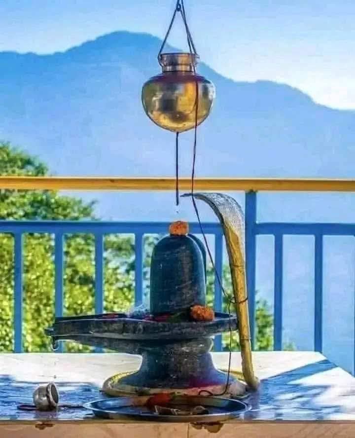 Gulzar__sahab's tweet image. मन को यूँ निराश ना कर बस महादेव पर विश्वाश कर,
हर पल साथ है मेरे वो डमरूवाला इस बात का अहसास कर।
ॐ_नमः_शिवाय। 🌿🌹🌺💐❤️🙏🏻