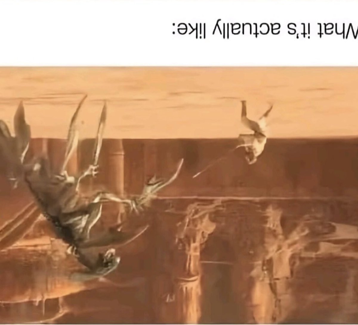 V_V_VFF's tweet image. «А теперь о Погоде»
В Австралии дожди. 
🙀😻😂