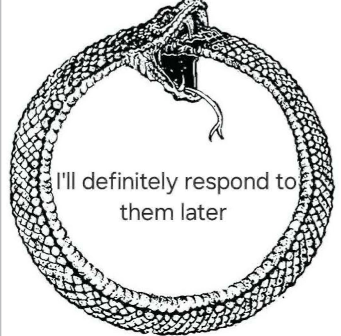 Respectful Memes (@respectfulmemes) on Twitter photo 