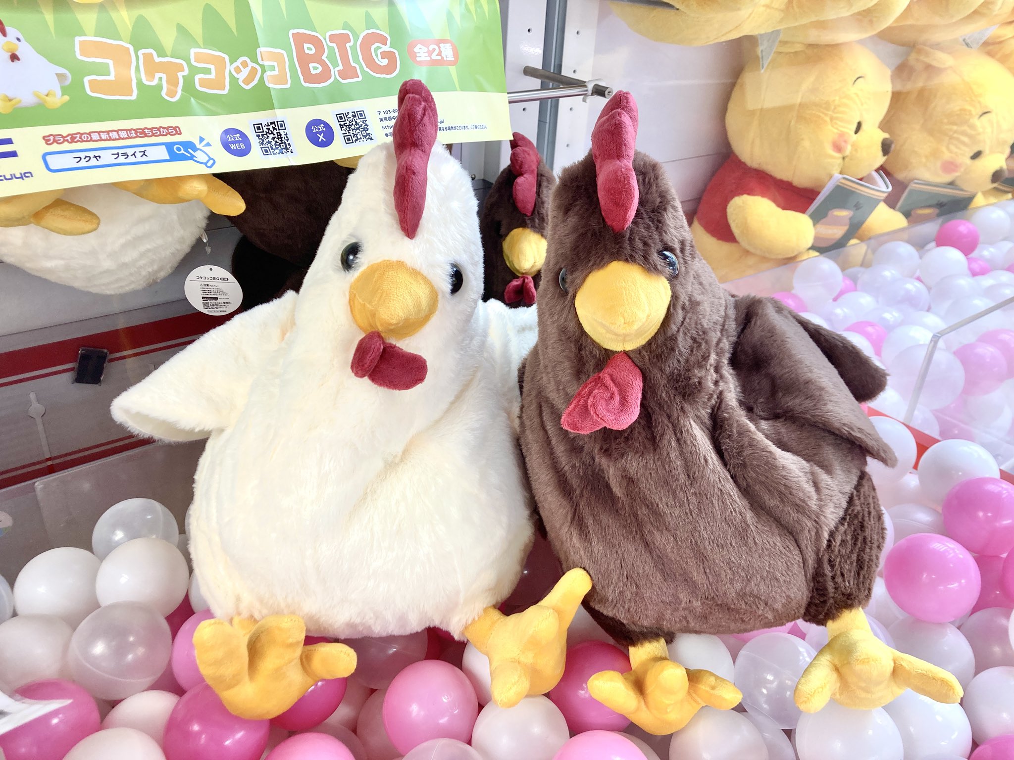 BIG はむっこ広場　ぬいぐるみ ゲームパニック甲府 on X: 