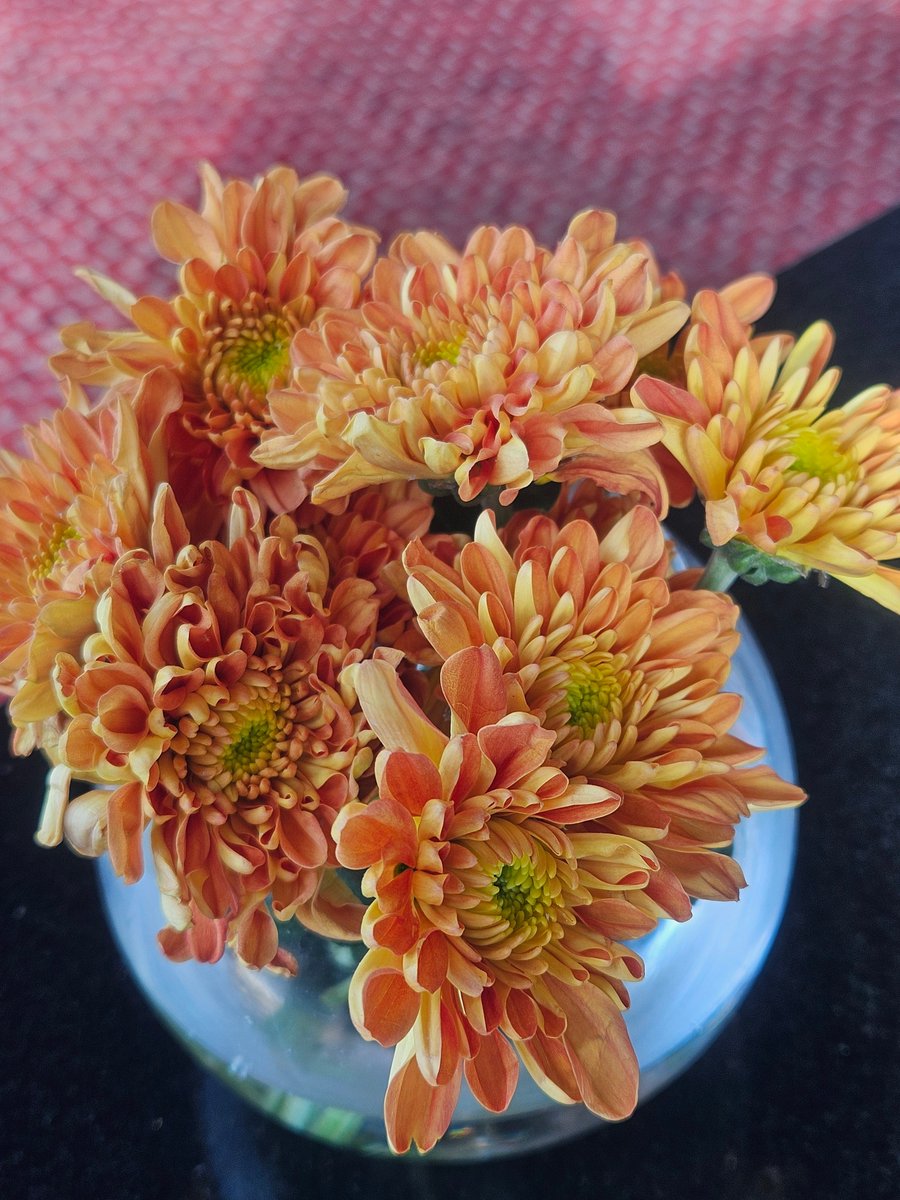 yoursarijit's tweet image. Good morning friends. Have a fabulous Friday...
#GoodMorningX #GoodMorningXFriends #arijitlens #GoodMorningTwitterWorld #FlowersOfX #theme_pic_India_flowers