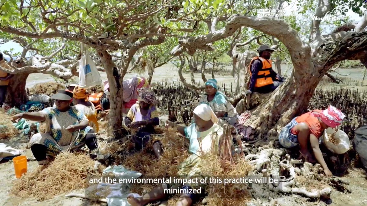 WorldFishCenter's tweet image. 💡Kenya's #aquaticfoods production has long been led by #inlandfisheries, but it's now calling for new opportunities in sustainable marine #fisheries.
Learn how #AABSWorldFish is supporting this initiative through #SouthSouth collaboration.
Watch: tinyurl.com/WFNews2507VidC