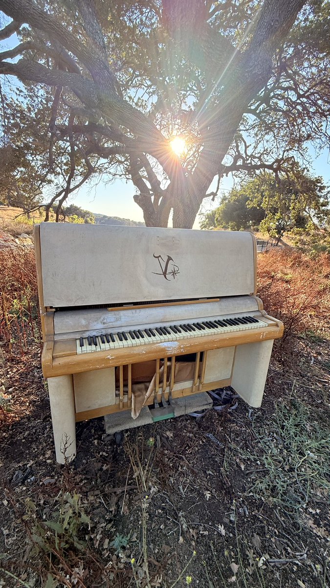 Houston Tackett tweet media