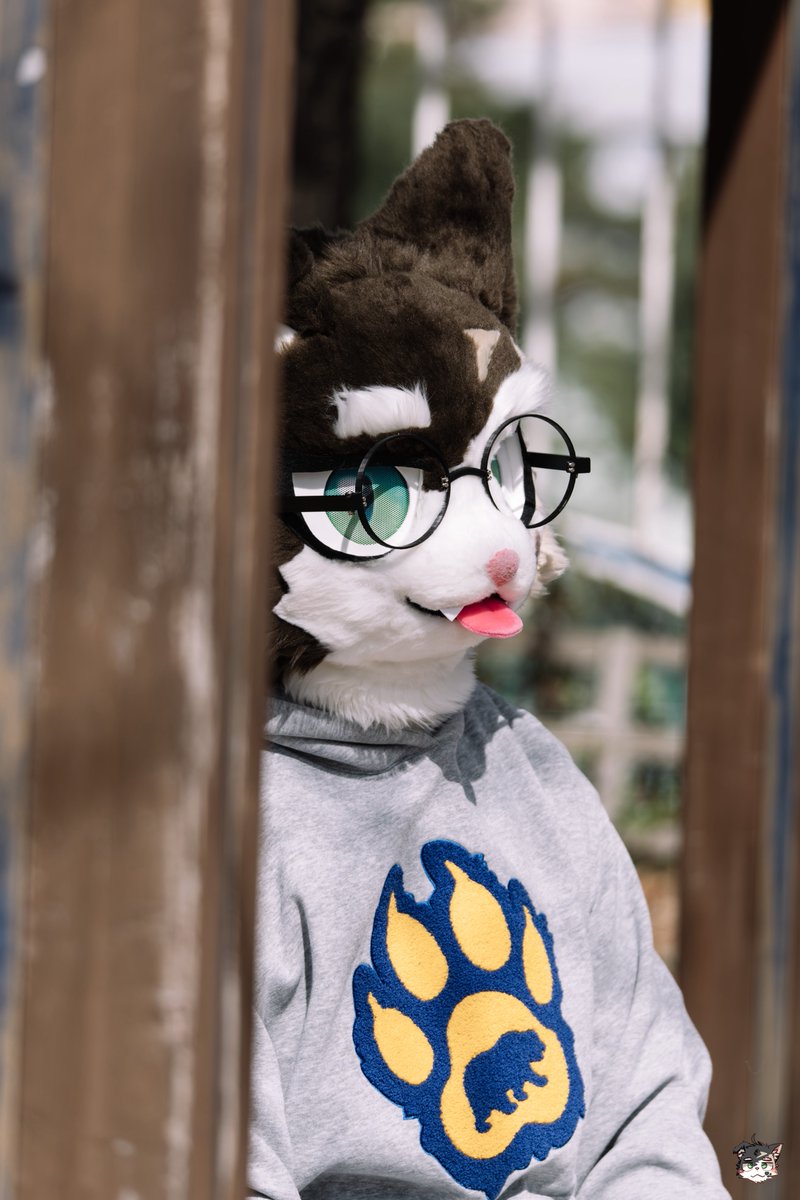 Spero_RP's tweet image. 응? 나 불렀어?

#FursuitFriday