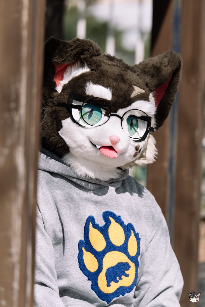 Spero_RP's tweet image. 응? 나 불렀어?

#FursuitFriday