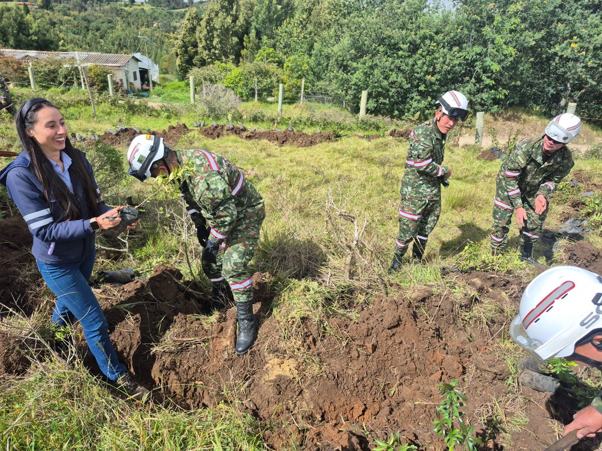 Ingenieros_EJC's tweet image. La Brigada de Ingenieros de Atención y Prevención de Desastres sembró más de 150 plantas nativas en Oicatá, #Boyacá, con el fin de conservar y recuperar la fauna y flora de la región.
#CustodiosDelMedioAmbiente