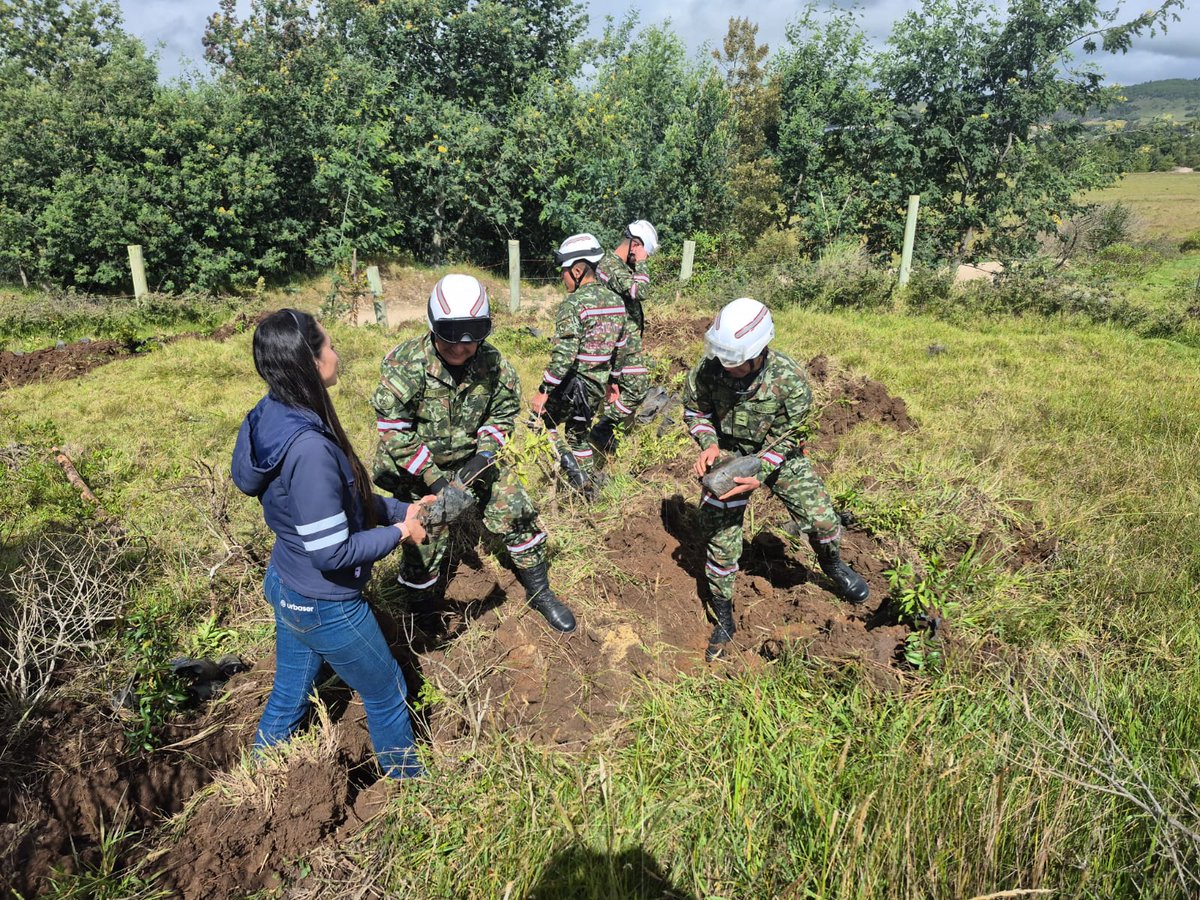 Ingenieros_EJC's tweet image. La Brigada de Ingenieros de Atención y Prevención de Desastres sembró más de 150 plantas nativas en Oicatá, #Boyacá, con el fin de conservar y recuperar la fauna y flora de la región.
#CustodiosDelMedioAmbiente
