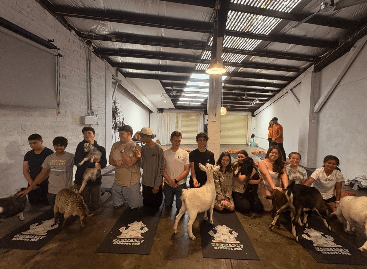 We partnered with the Australian Government and Karmably Events to deliver the Winter STEM in the Community Innovation Forum. The amazing crew at Karmably Events kicked off the forum with an awesome Goat Yoga session that brought energy, mindfulness and plenty of smiles.