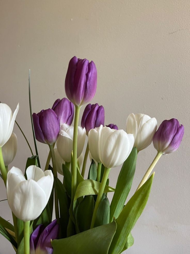 tutututututulip's tweet image. 