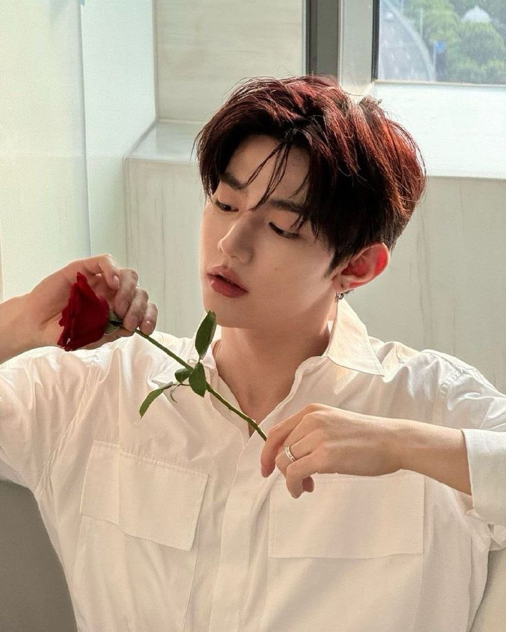 tblskjd's tweet photo. the pretties boy ever 🤍🌹 https://t.co/X6zzdbKUAZ