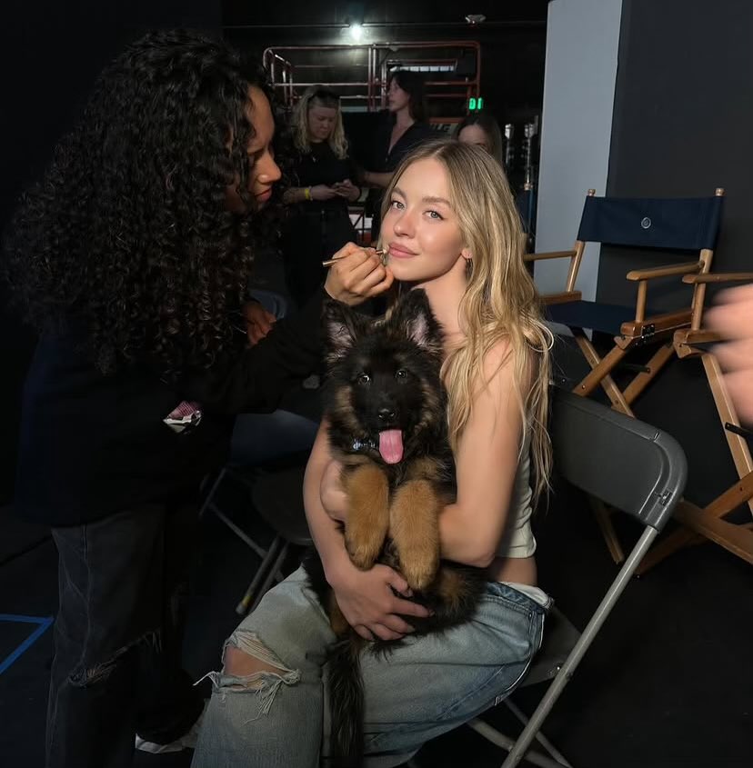 diegobc28's tweet image. VC: “What’s @tailtreck’s GTM strategy?”
Me: teaching dogs to paddleboard
Also me: teaching Sydney Sweeney’s dog Sully Bear to paddleboard