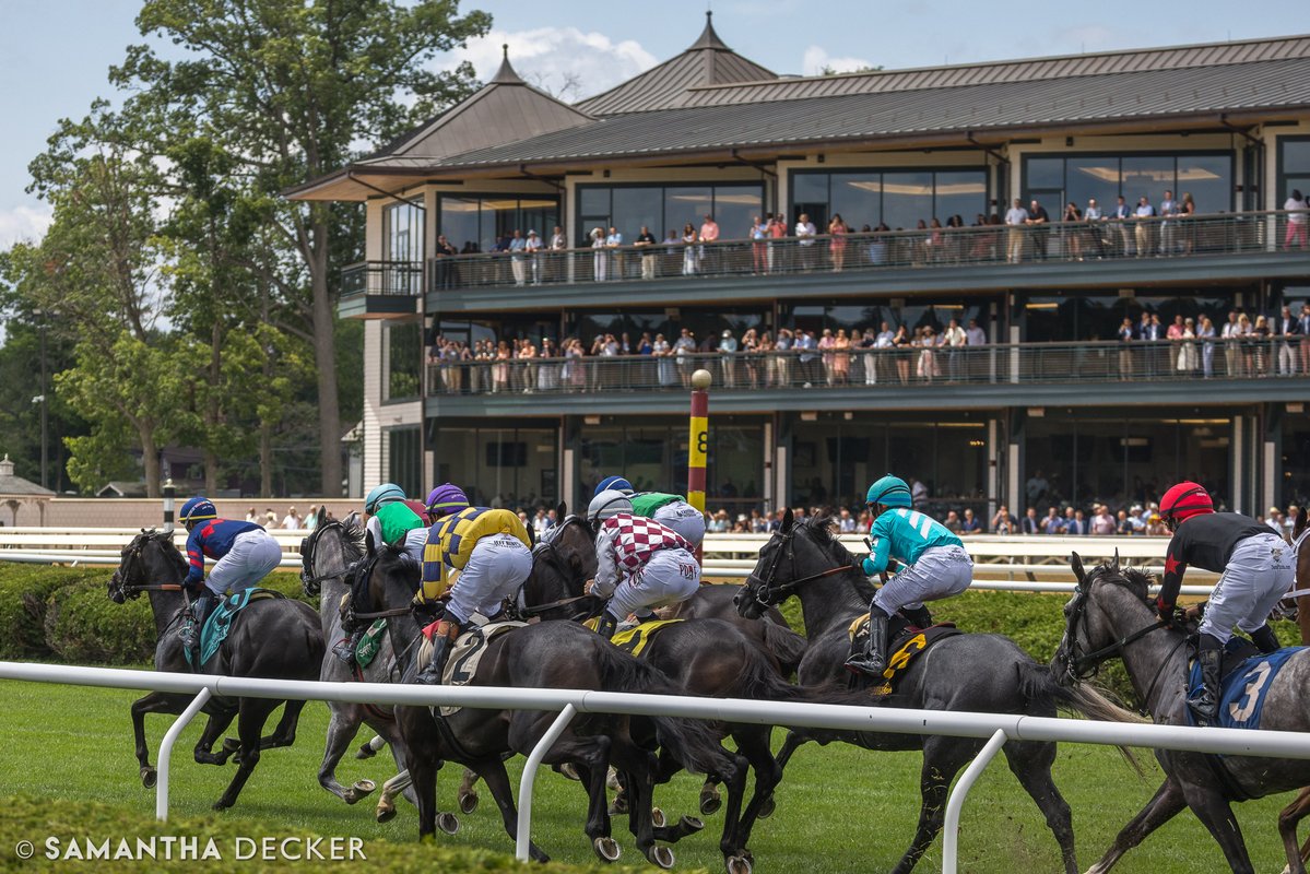 sdeckerphoto's tweet image. Heading into the weekend like ⬇️
Shot for the @saratogaspecial