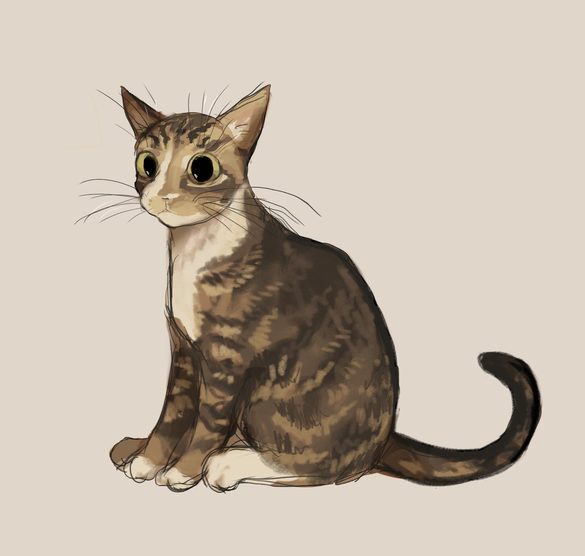 siivscircus's tweet image. i just think everyone should see this drawing of my cat i did...... its from like a year ago now but it still brings me lots of joy