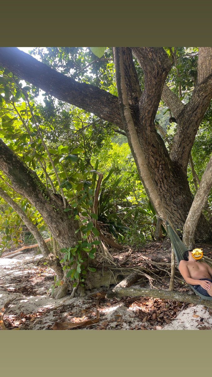 Mihaaaaawk's tweet image. Merci pour tout les îles perhentian