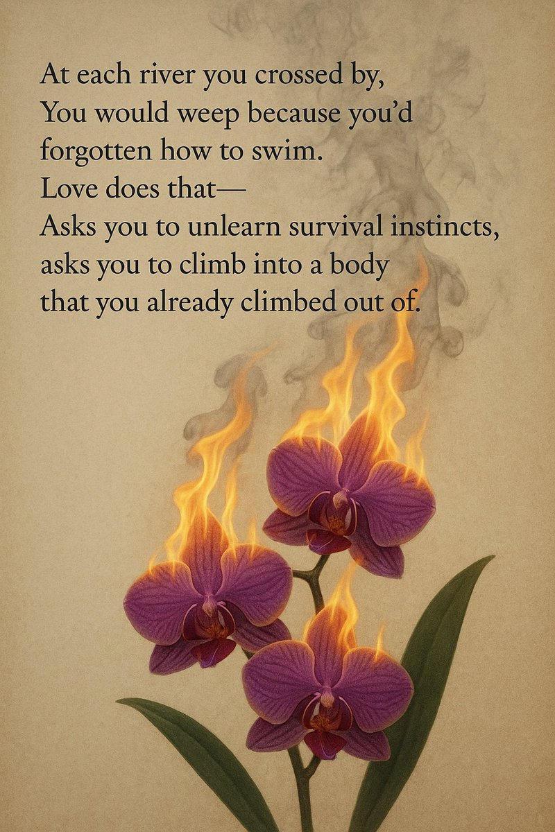 DavidLONan1's tweet image. More From &quot;The Way the Dust Follows You Back&quot; by me #Davidlonan #writingcommunity #art #poetryofinstagram #Poetry #feversofthemind @bloodhoneylit #DavidLeonONan