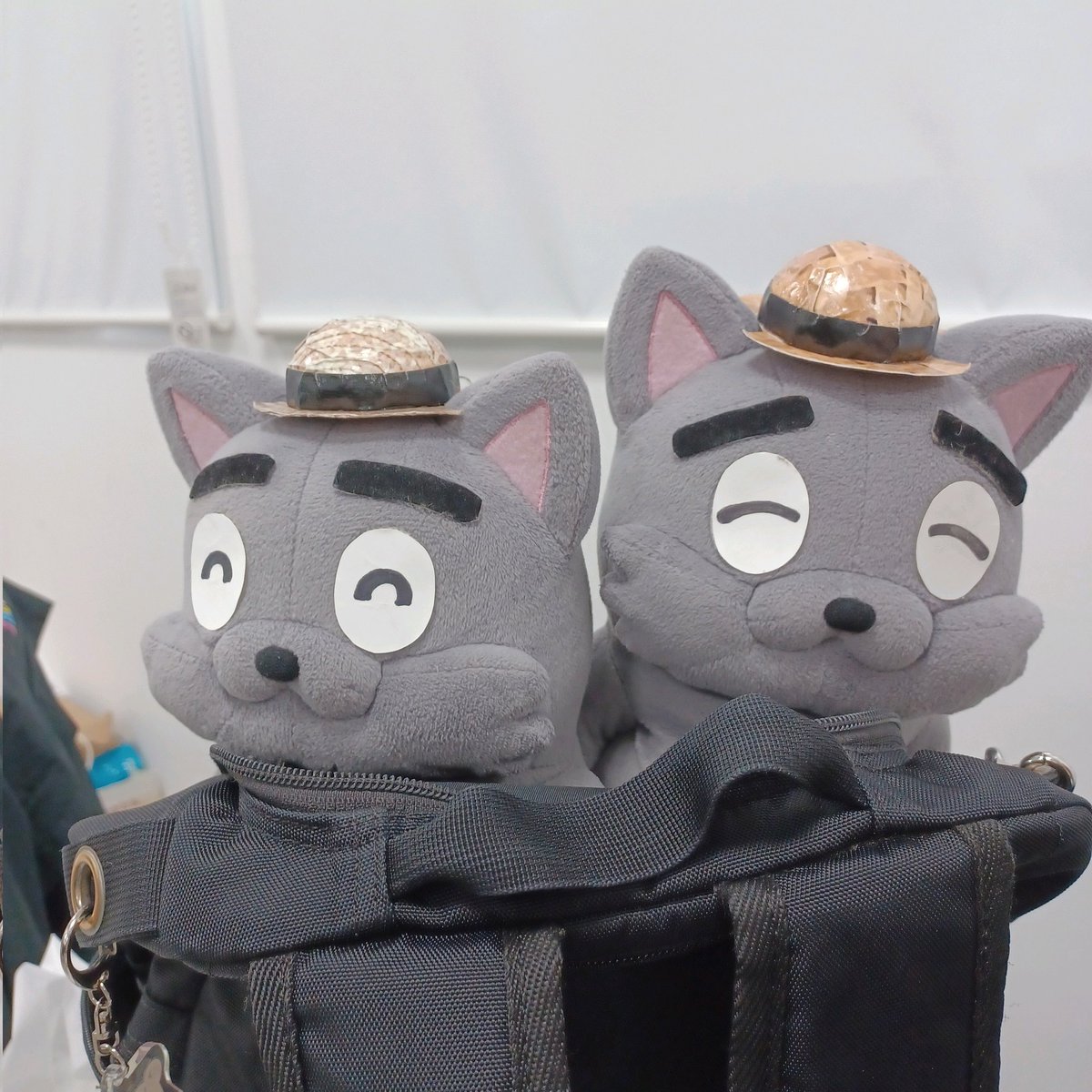 pier21_web's tweet image. おはようございます!(ギリギリ)
埼玉は34℃☀️です暑いです
今日はこれからおでかけっ!✋
いってきまーす!
#さてどこかな
#企業公式が毎朝地元の天気を言い合う #企業公式ぬい撮り部 #企業公式夏のフォロー祭り