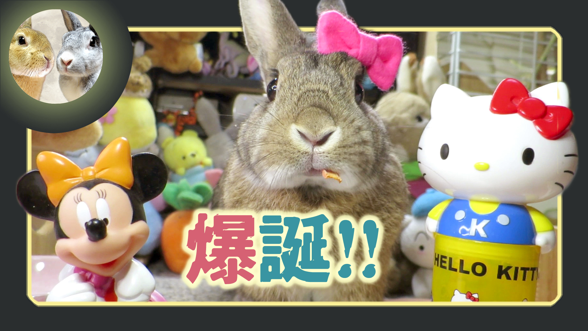 しょりんうさぎちゃんとくまさんのデート、コスモス、秋アレンジ❣️ピンク❁⃘* 月うさぎ だいだい&アスカ先輩 on X: 