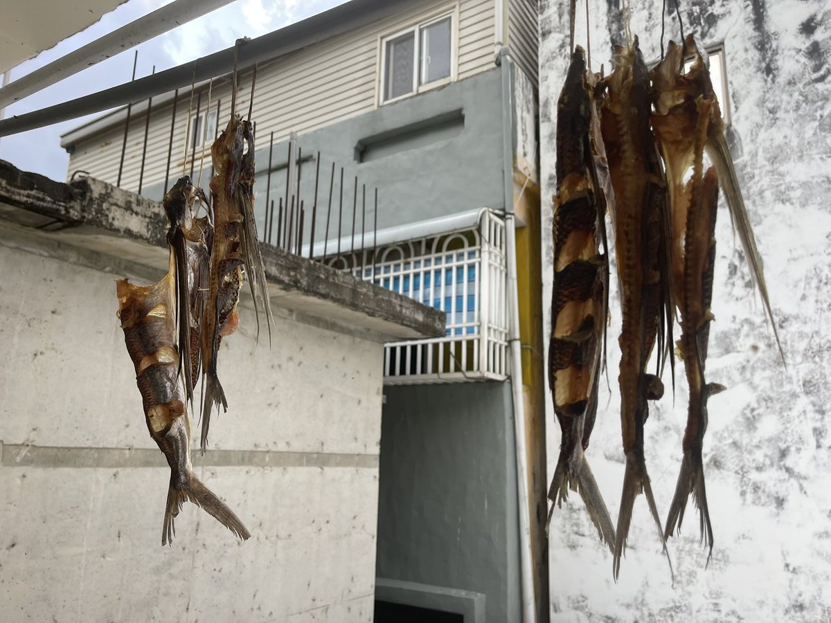 Ramimo77's tweet image. 蘭嶼