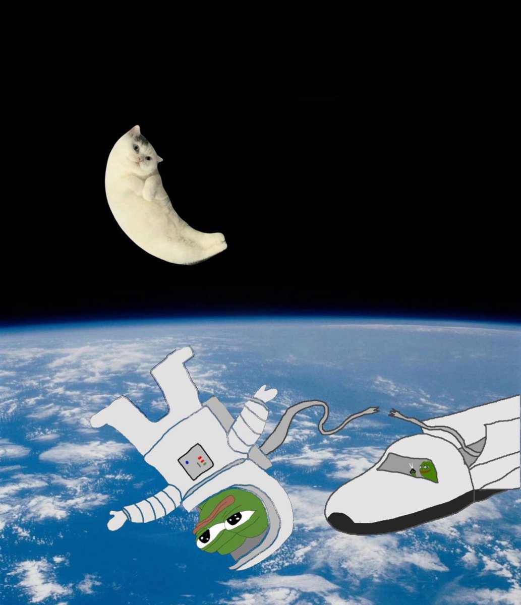 FatNostril's tweet image. GM (Gud Mooncat)
#mooncat @mooncatonmoon