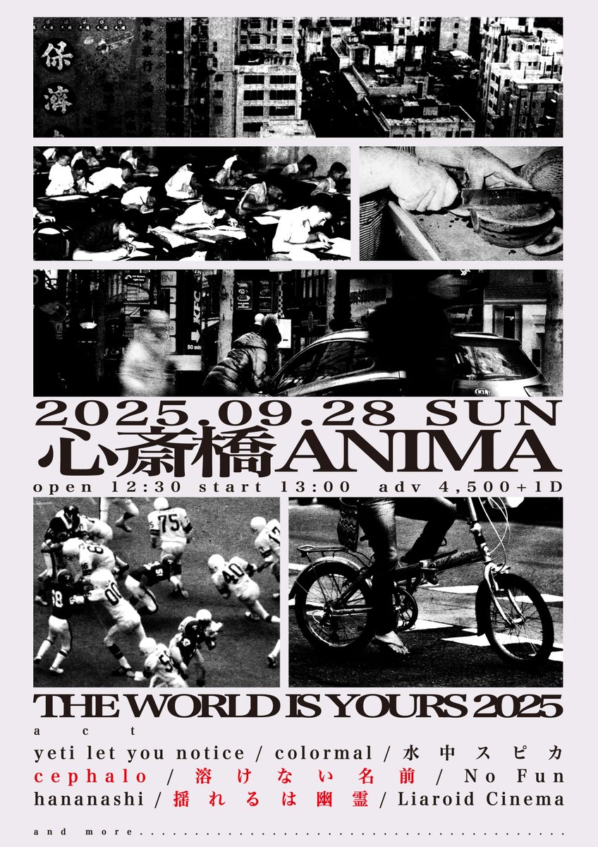 【9/28のアニマ】

／
　THE WORLD IS YOURS 2025
＼

cephalo
溶けない名前
揺れるは幽霊

OPEN 12:30 START 13:00
ADV ￥4500(+1d￥600)

▼2次プレオーダー（〜本日 23:59）
eplus.jp/sf/detail/4351…

2次プレオーダー本日まで！