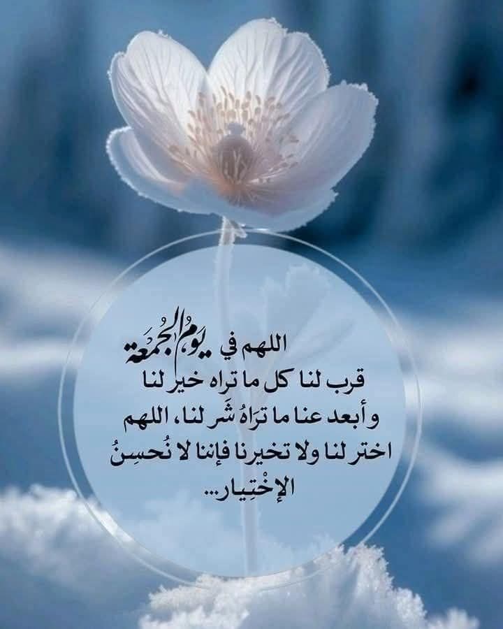 اللهم في يوم الجمعة

قرب لنا كل ما تراه خير لنا وأبعد عنا ما تراه شر لنا، اللهم اختر لنا ولا تخيرنا فإننا لا نُحسِنُ الإختيار....