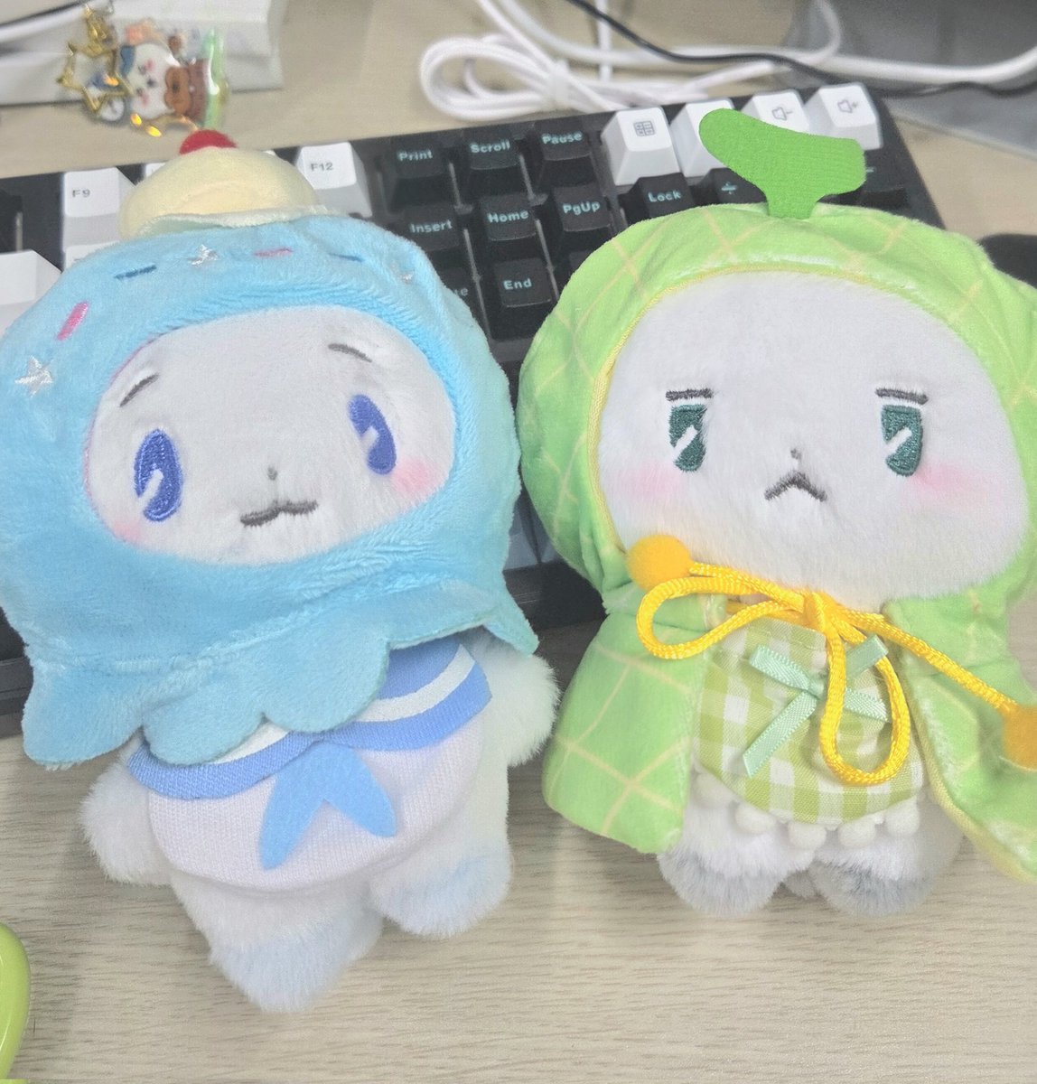 plli__minun's tweet image. 으아아 귀여워!