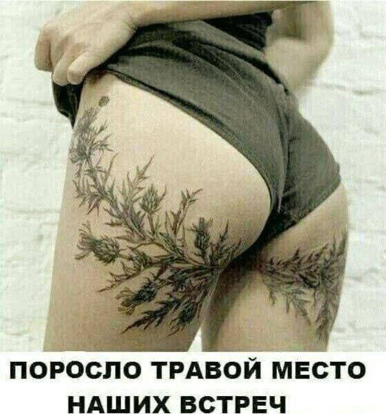 Zusatzzeichen's tweet image. Репеем заросло
