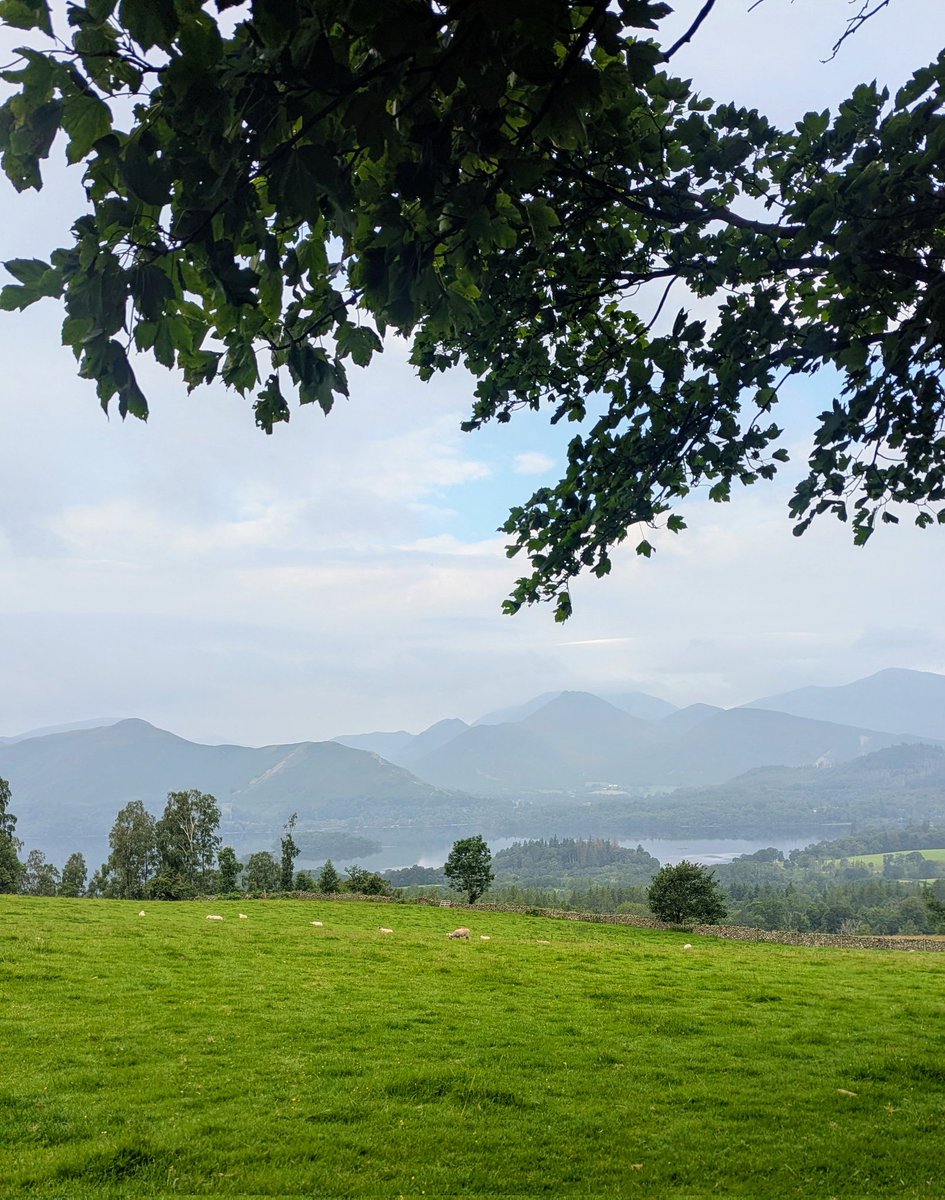 NotBadForHerAge's tweet image. Enjoying the peace and solitude of an early run on the fells today. ๐๐ปโโ๏ธ๐พ๐ #trailrunning #fellrunning #LakeDistrict #GoodMorning
