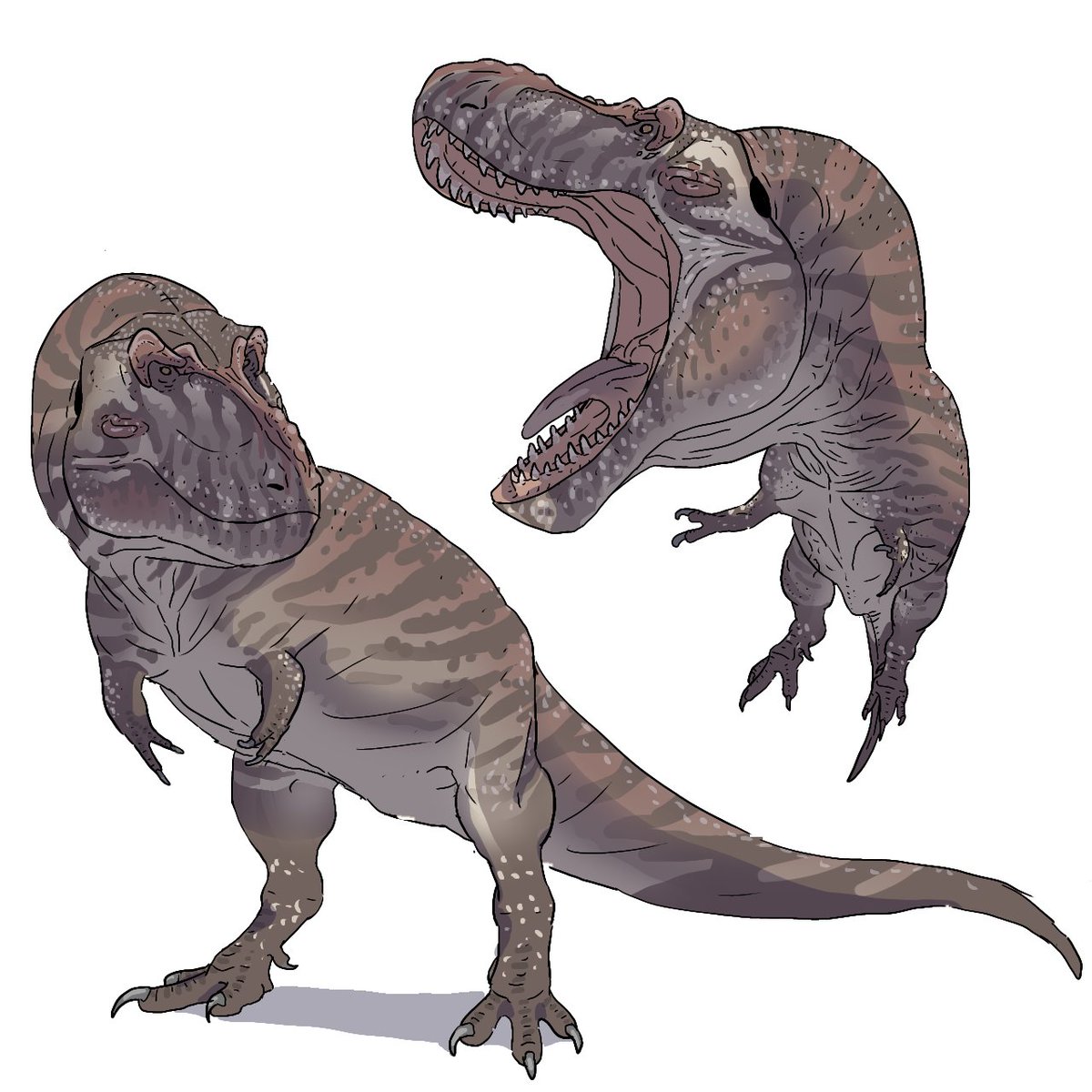 Howard roland tweet media