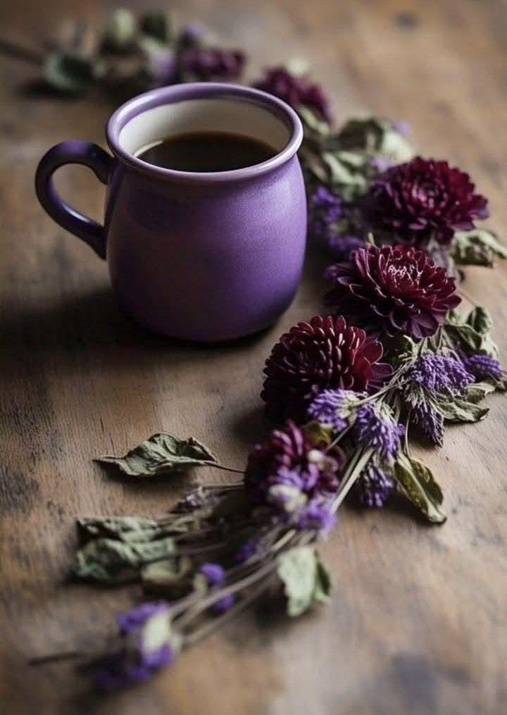 maria_fragata's tweet image. Good morning! ☕