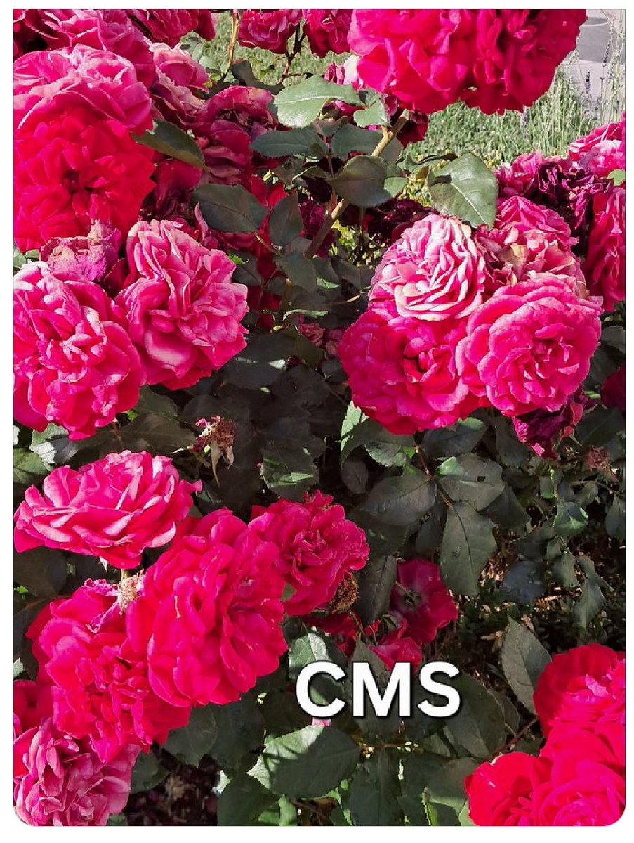 Dursun (@drssn_42) on Twitter photo 🔹CMS🔹
<a href="/Dfne_06/">Defne Nehir</a>
<a href="/Carzade1/">Çarzade</a>
<a href="/mavi_asi_ata_/">🦅🇹🇷_MAVİ_ASİ_🇹🇷🦅ATATÜRKÇÜ VE KEMALİST🦅 🇹🇷</a>
<a href="/Glsm21/">@Glsm</a>
<a href="/nlf16/">NİLÜFER</a>
<a href="/nryd37/">Nuray</a>
<a href="/zubus__/">Zübeyde</a>
<a href="/SrvtCar/">ÇARZADE</a>
<a href="/2_Talh/">Talha</a>
<a href="/Krklm/">𝓗𝓪𝓴𝓪𝓷</a>
<a href="/mkus27/">Mevlüt27⭐⭐⭐⭐⭐</a>
<a href="/SiirSL1/">🌬️@SiirSL1🎊🎊</a>
<a href="/SiirSL_/">𝗦𝗶𝗶𝗿𝗦𝗟_💣💯✌️💯✌️💯✌️</a>
<a href="/m_kayrak/">4535🌟🌟🌟🌟🌟</a>
<a href="/Anajbejeb/">Elazığ 2323</a>
<a href="/nykdmrl/">Nur🌙</a>
<a href="/1_drs42/">Dursun</a>
<a href="/ZynpYS15/">Zeyno</a>
<a href="/Akif2_/">𝓐 𝓴 𝓲 𝓯 ♡</a>
<a href="/2Rzgr/">𝐑 𝐮̈ 𝐙 𝐆 𝐚 𝐑 🦋</a>
<a href="/drssn_42/">Dursun</a>
<a href="/emineerkan1/">mina</a>
<a href="/lemanyargici/">Leman Yargıcı</a>
<a href="/mhmttt_3/">Memo3</a>
<a href="/EeeSaoh/">s.baha can</a>
<a href="/AyE8898/">Ay Nur Duru</a>
<a href="/Aslh1907/">Aslıhan🇹🇷💛💙🇹🇷</a>
<a href="/ZeTeamZ/">Zey</a>
@Zafers3 🔹CMS🔹
<a href="/Dfne_06/">Defne Nehir</a>
<a href="/Carzade1/">Çarzade</a>
<a href="/mavi_asi_ata_/">🦅🇹🇷_MAVİ_ASİ_🇹🇷🦅ATATÜRKÇÜ VE KEMALİST🦅 🇹🇷</a>
<a href="/Glsm21/">@Glsm</a>
<a href="/nlf16/">NİLÜFER</a>
<a href="/nryd37/">Nuray</a>
<a href="/zubus__/">Zübeyde</a>
<a href="/SrvtCar/">ÇARZADE</a>
<a href="/2_Talh/">Talha</a>
<a href="/Krklm/">𝓗𝓪𝓴𝓪𝓷</a>
<a href="/mkus27/">Mevlüt27⭐⭐⭐⭐⭐</a>
<a href="/SiirSL1/">🌬️@SiirSL1🎊🎊</a>
<a href="/SiirSL_/">𝗦𝗶𝗶𝗿𝗦𝗟_💣💯✌️💯✌️💯✌️</a>
<a href="/m_kayrak/">4535🌟🌟🌟🌟🌟</a>
<a href="/Anajbejeb/">Elazığ 2323</a>
<a href="/nykdmrl/">Nur🌙</a>
<a href="/1_drs42/">Dursun</a>
<a href="/ZynpYS15/">Zeyno</a>
<a href="/Akif2_/">𝓐 𝓴 𝓲 𝓯 ♡</a>
<a href="/2Rzgr/">𝐑 𝐮̈ 𝐙 𝐆 𝐚 𝐑 🦋</a>
<a href="/drssn_42/">Dursun</a>
<a href="/emineerkan1/">mina</a>
<a href="/lemanyargici/">Leman Yargıcı</a>
<a href="/mhmttt_3/">Memo3</a>
<a href="/EeeSaoh/">s.baha can</a>
<a href="/AyE8898/">Ay Nur Duru</a>
<a href="/Aslh1907/">Aslıhan🇹🇷💛💙🇹🇷</a>
<a href="/ZeTeamZ/">Zey</a>
@Zafers3