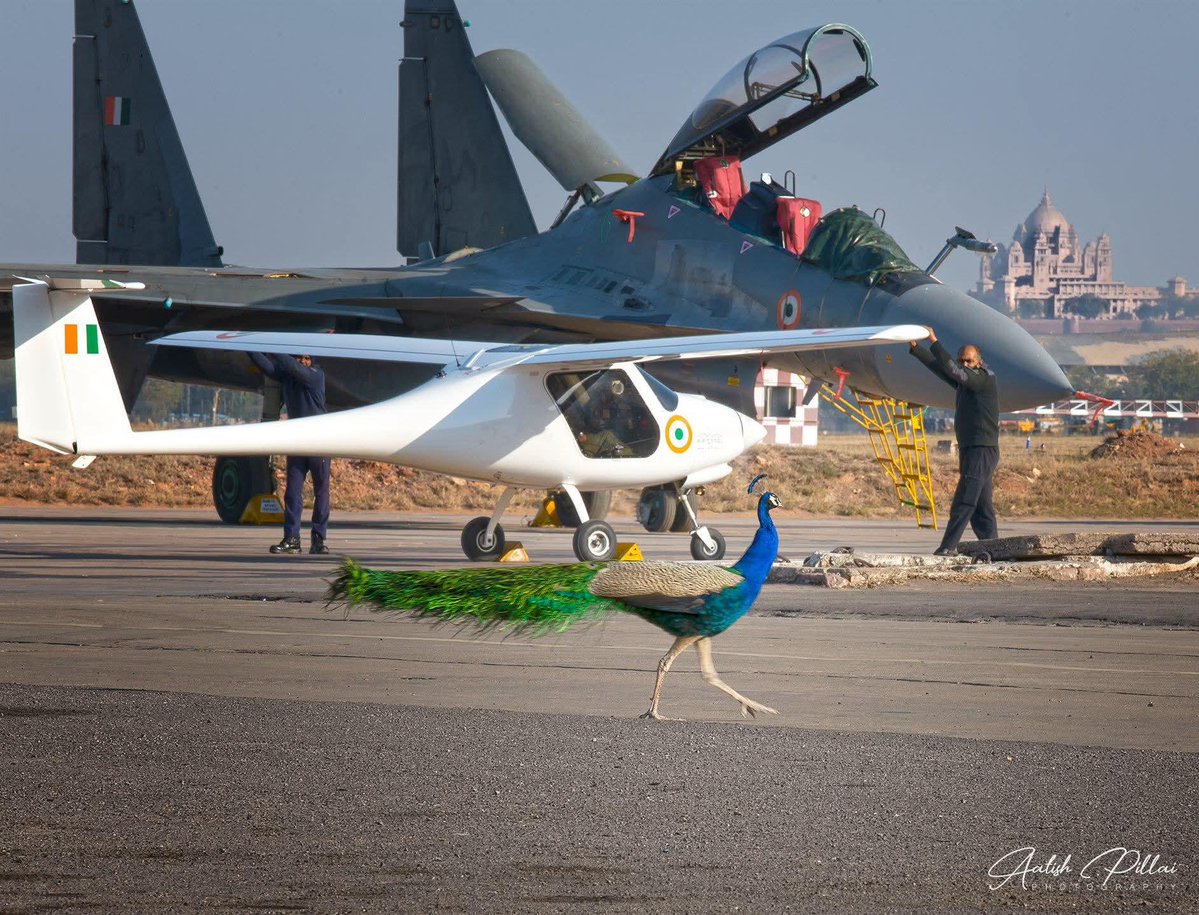 elitepredatorss's tweet image. A very pretty picture overall ❤️
Credits : Aatish Pillai