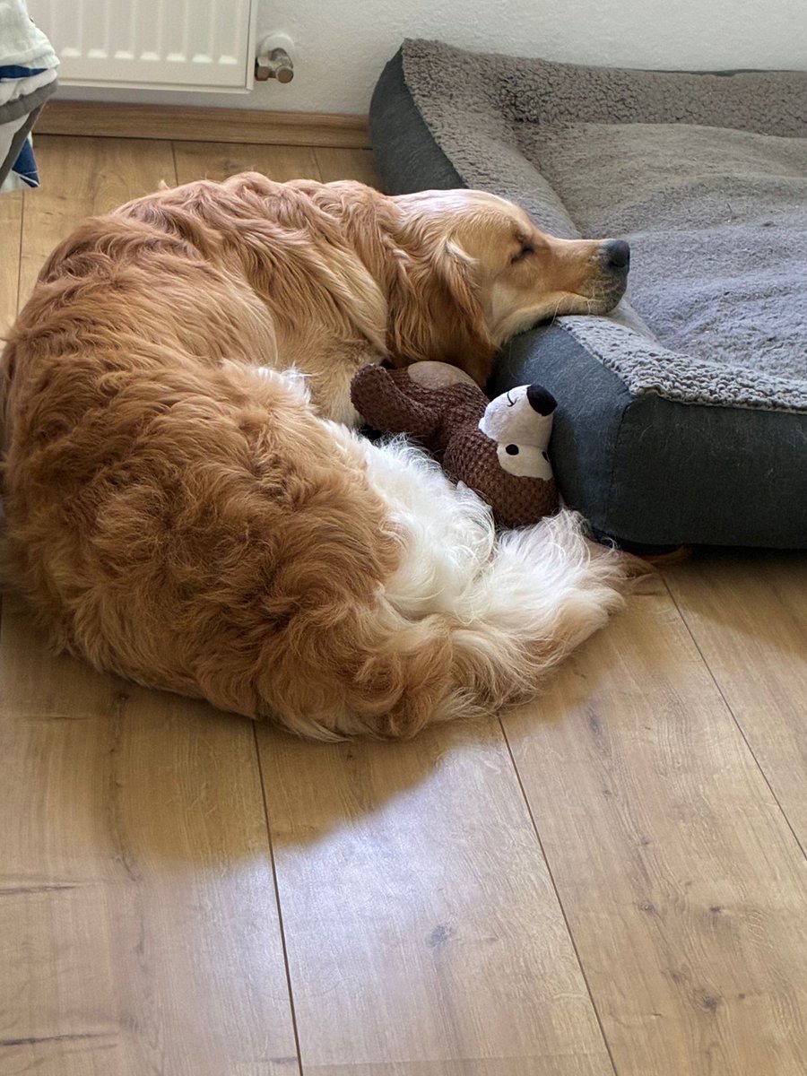 Man ist mal wieder illegal süß.