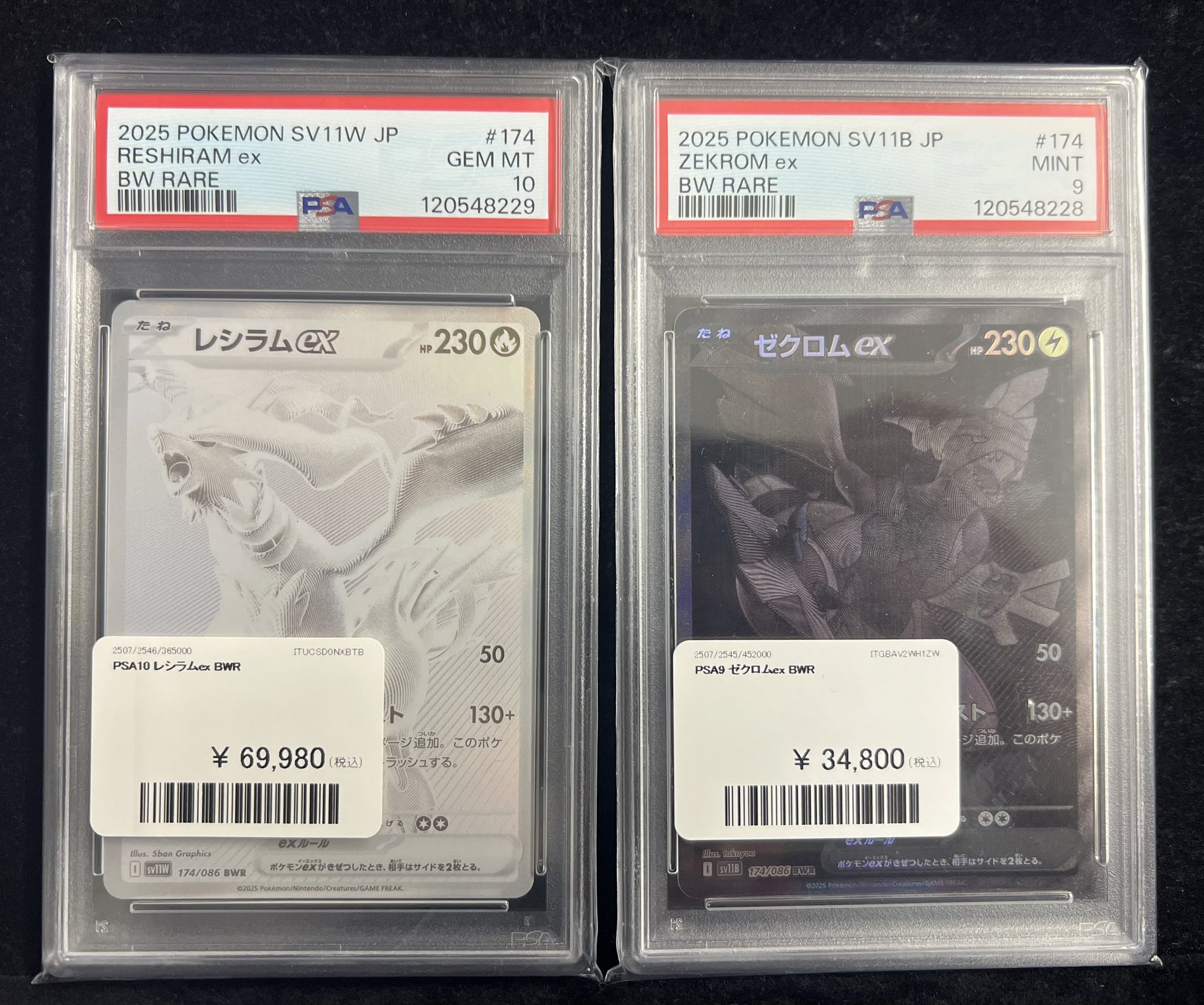 PDG Collector's Shop 秋葉原 on X: 