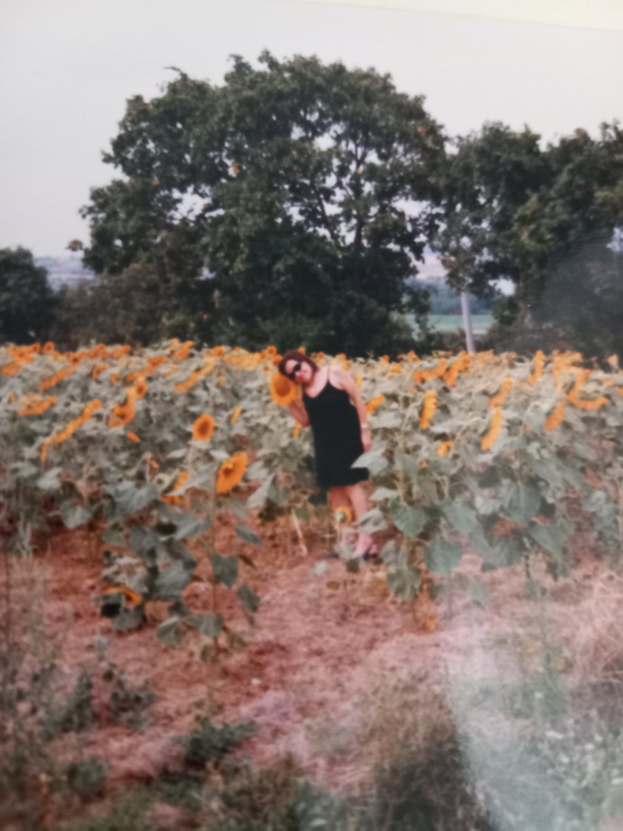 rossanafrancio1's tweet image. #seCercate me...sono fra i girasoli! #UnTemaAlGiorno 📸