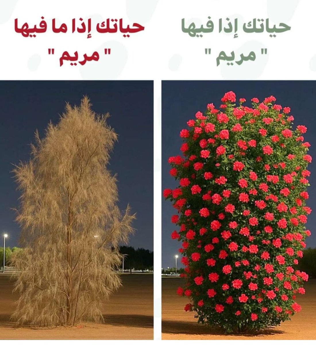 احلى هدية وصلتني😍😍😍