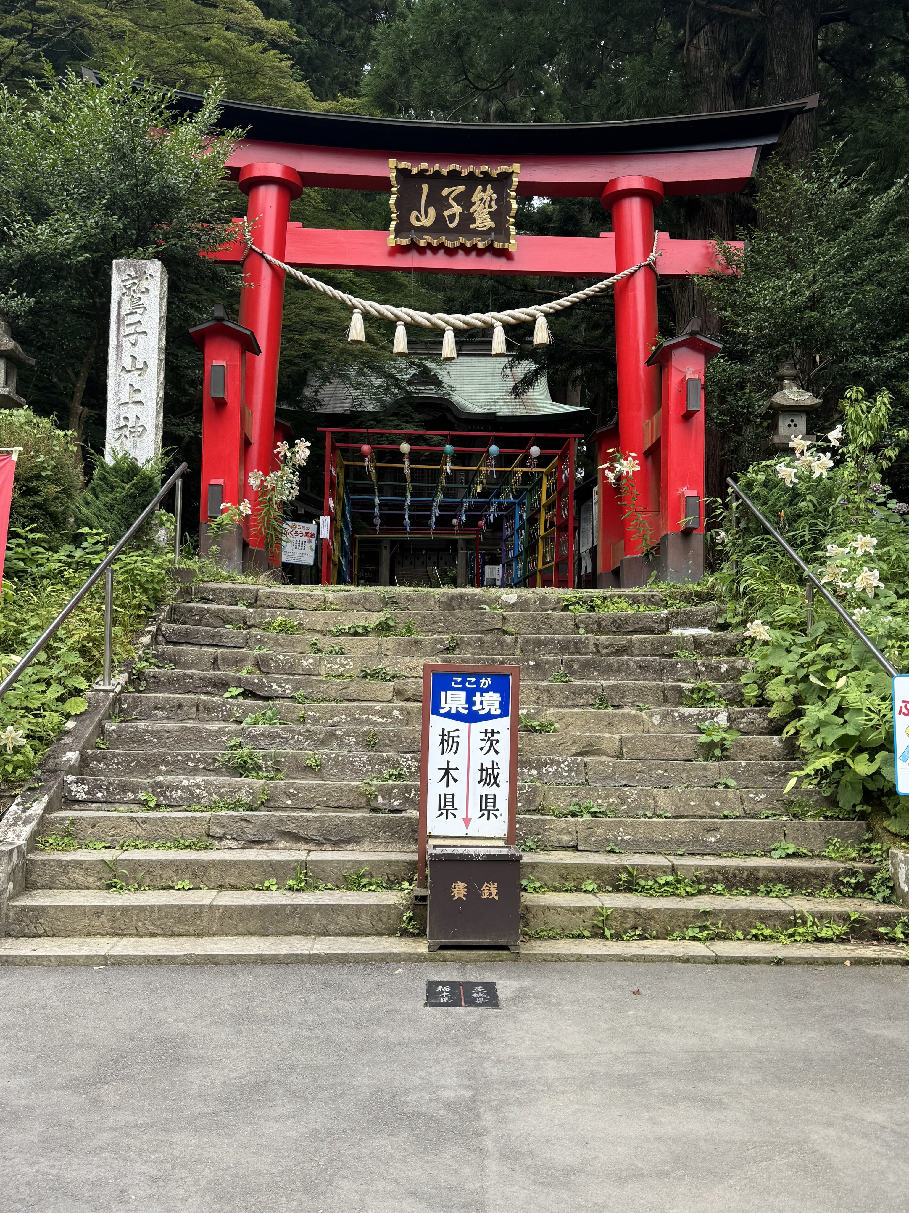 kururusky (@kururusky) / X